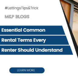 Essential Common Rental Terms Every Renter Should Understand