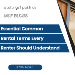 Essential Common Rental Terms Every Renter Should Understand